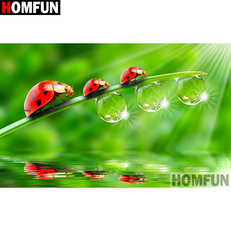 HOMFUN Art 5D Diy Diamond Pain - Embroidery Lady Bug avis et prix