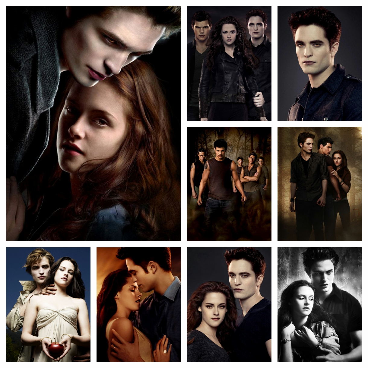 The Twilight Saga Movie Diamon - Embroidery Lovers avis et prix
