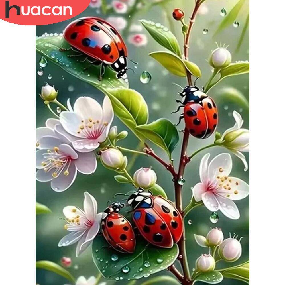 HUACAN 5d Diamond Painting Lad - Embroidery Lady Bug avis et prix