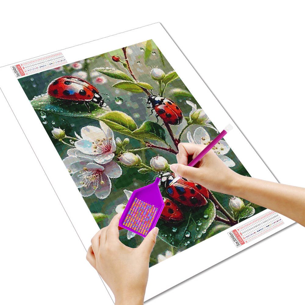 HUACAN 5d Diamond Painting Lad - Embroidery Lady Bug avis et prix