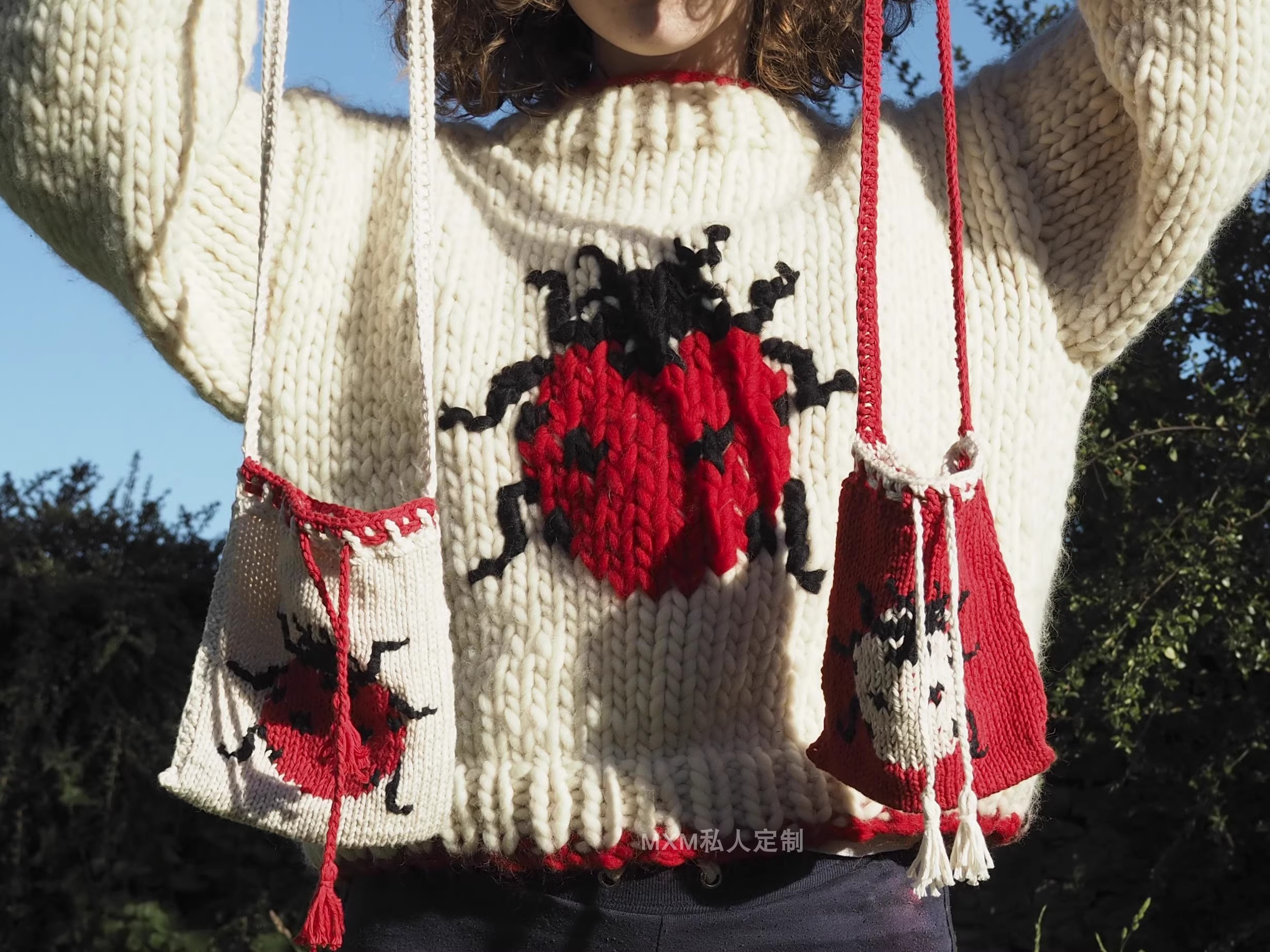 Seven Star Ladybug Pattern Pur - Embroidery Lady Bug avis et prix